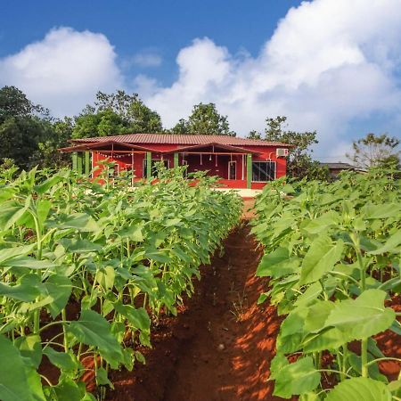 Aarya Farm Bed and Breakfast Bhom Buitenkant foto