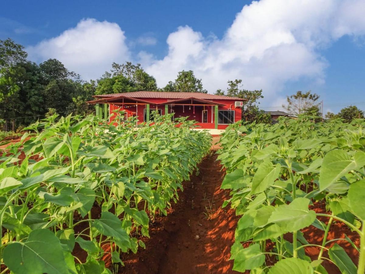 Aarya Farm Bed and Breakfast Bhom Buitenkant foto